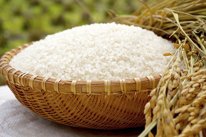 写真：稲穂と米　食育イメージ